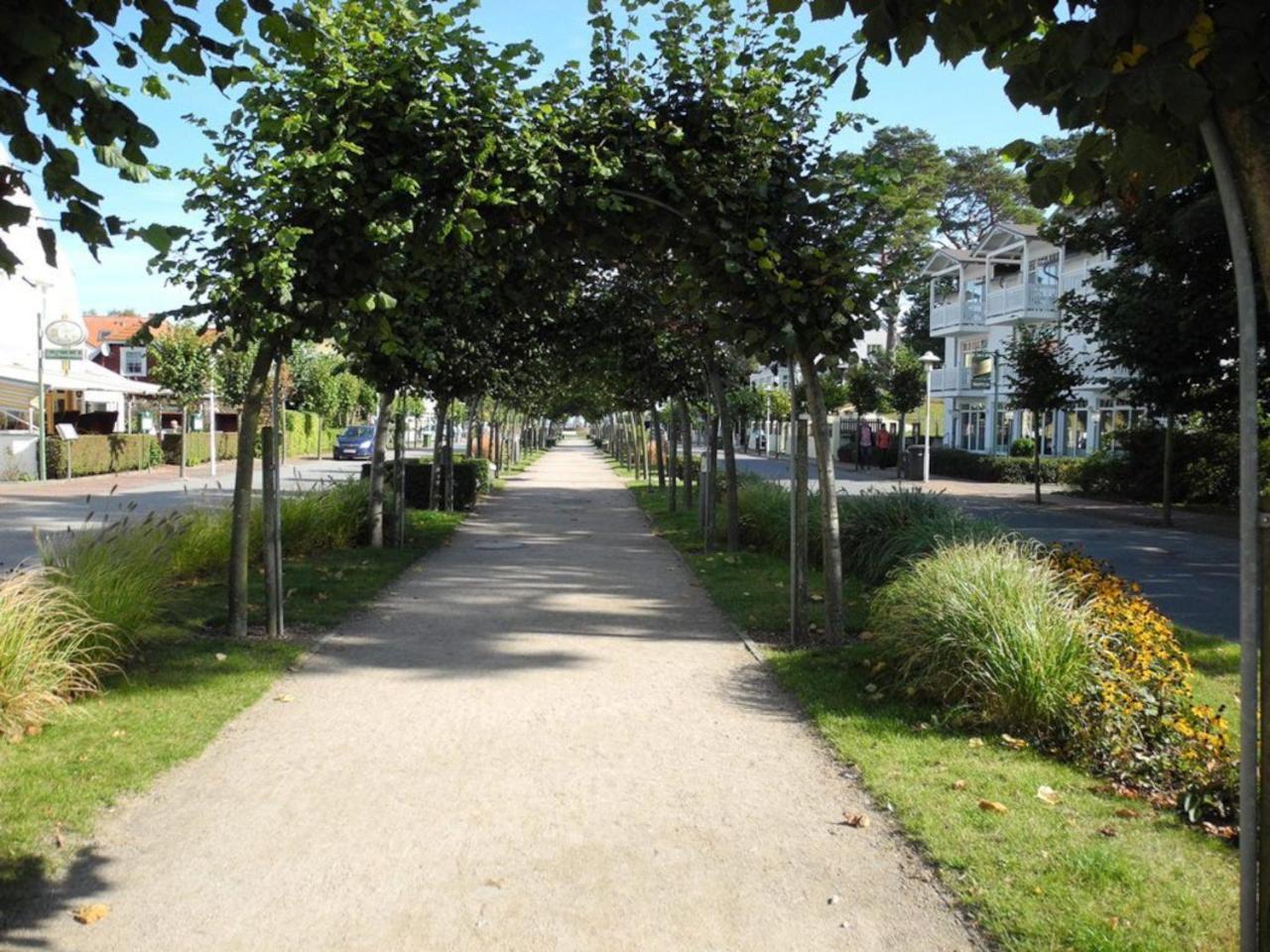 Duenenwald - Baabe Villa Eksteriør billede